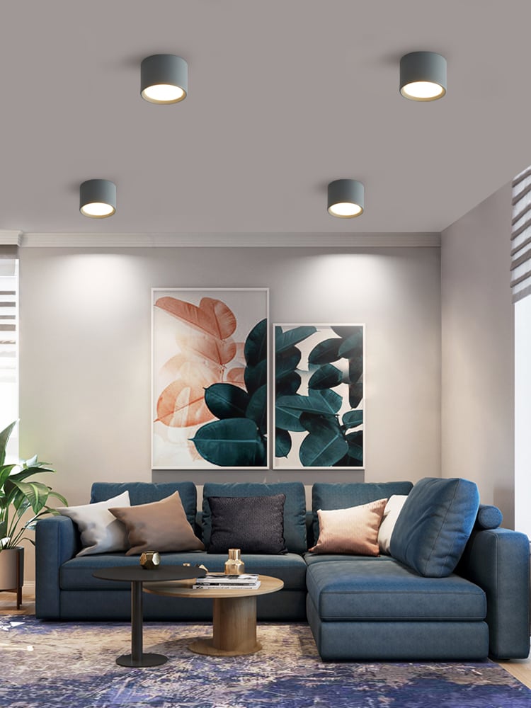 LED Simple Ceiling Light